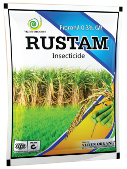RUSTAM